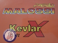 Keilriemen Vespa 300, MALOSSI