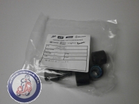 Variatorrollen GTS 125 ab 2016, 19x17mm, 12 Gr.