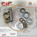 Kit Getriebe-Revision Piaggio Mofa Vario, Cif