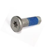 Schraube Bef. Bremsscheibe ab 2016, Torx, original